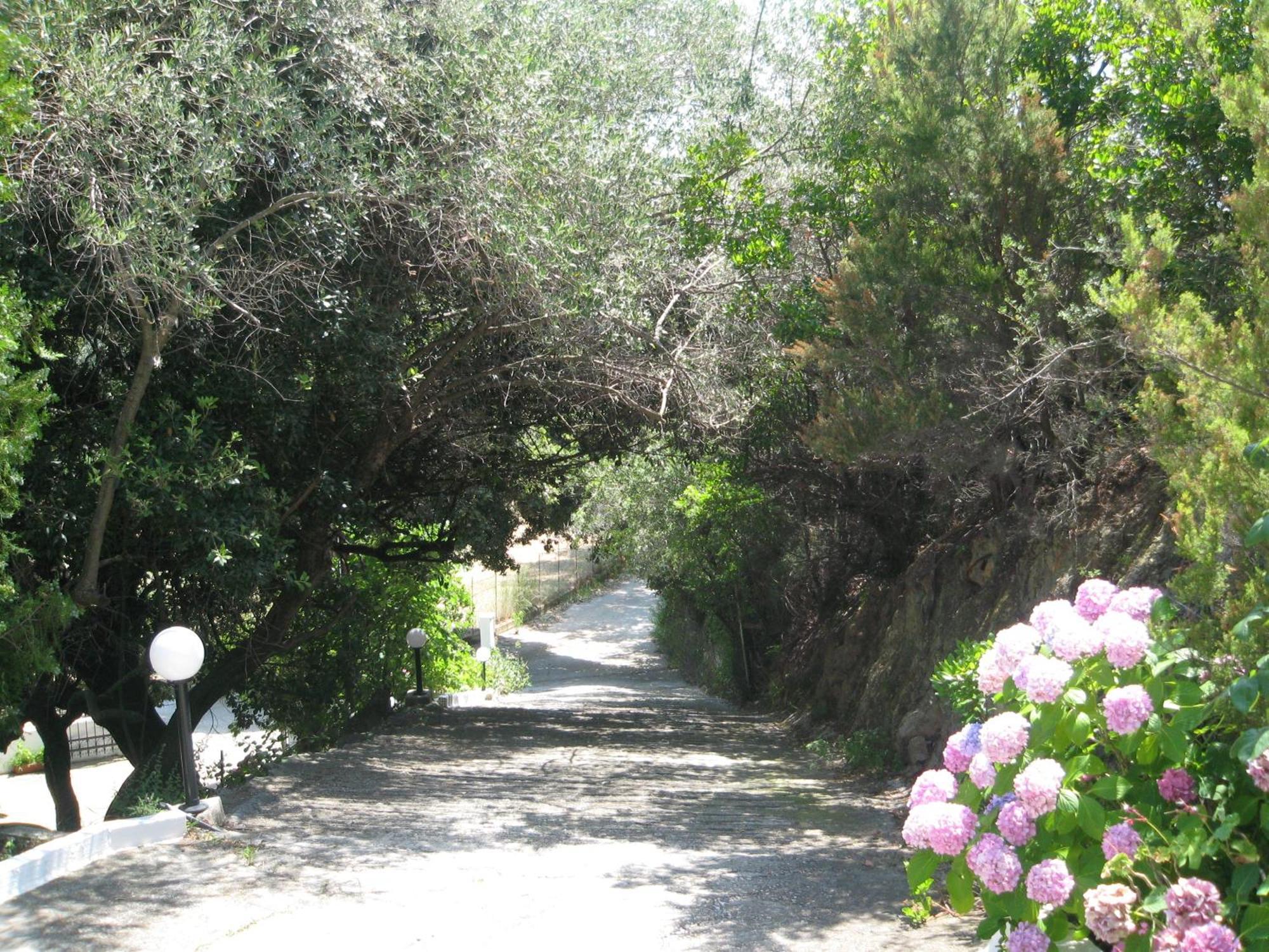 Bellina Studios Agia Paraskevi  Luaran gambar